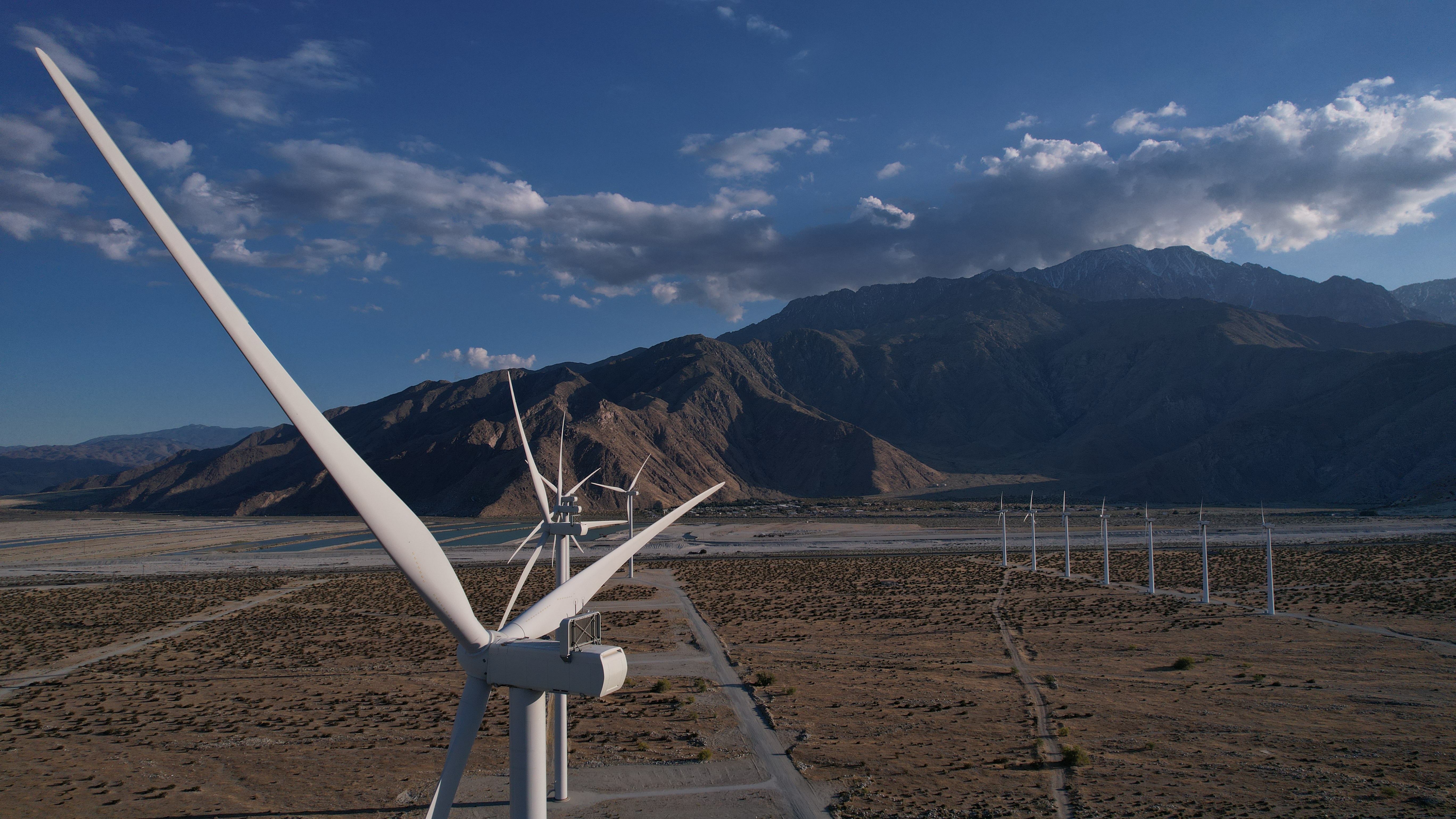 Palm Springs Image
